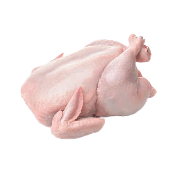 Poulet